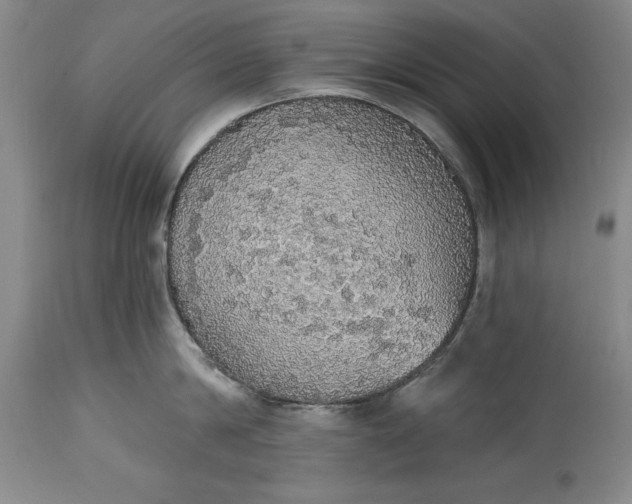 X0000115420814200911171421