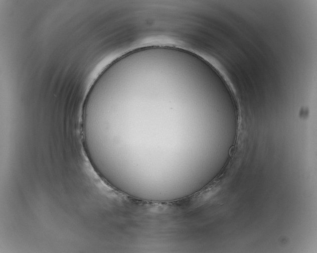 X0000115420815200911171421