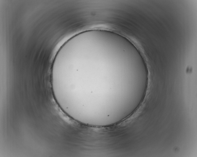X0000115420816200911171421