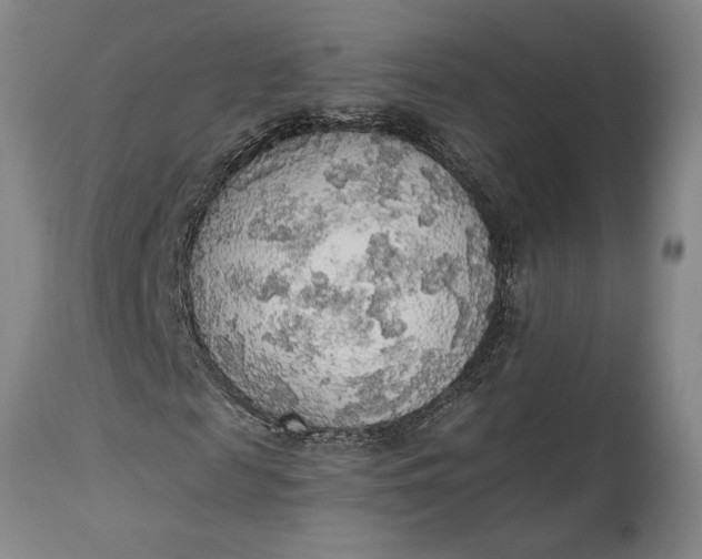 X0000115420817200911171421