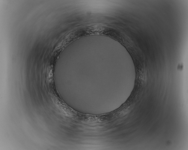 X0000115420818200911171421