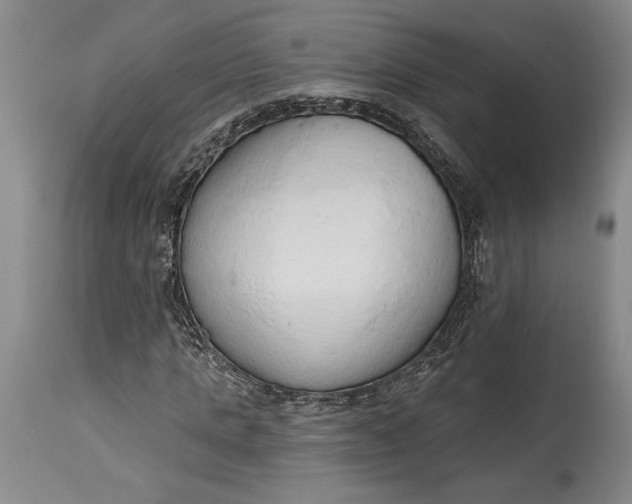 X0000115420821200911171421