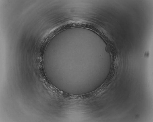 X0000115420822200911171421