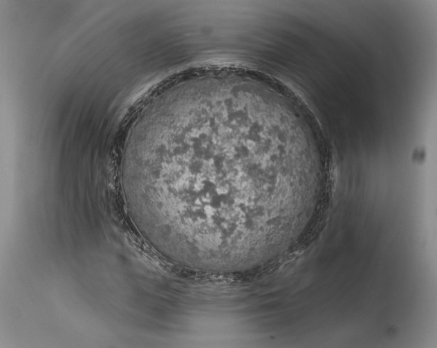 X0000115420823200911171421