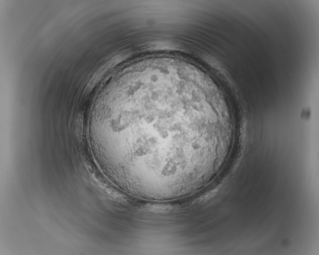 X0000115420825200911171421