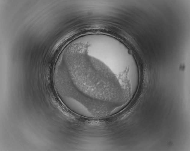 X0000115420826200911171421
