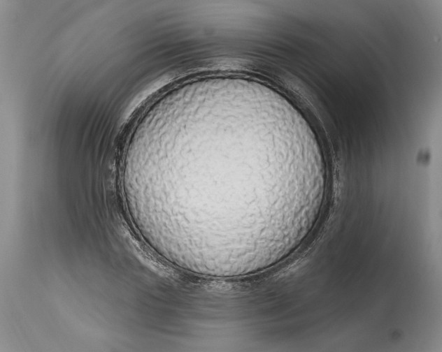 X0000115420827200911171421