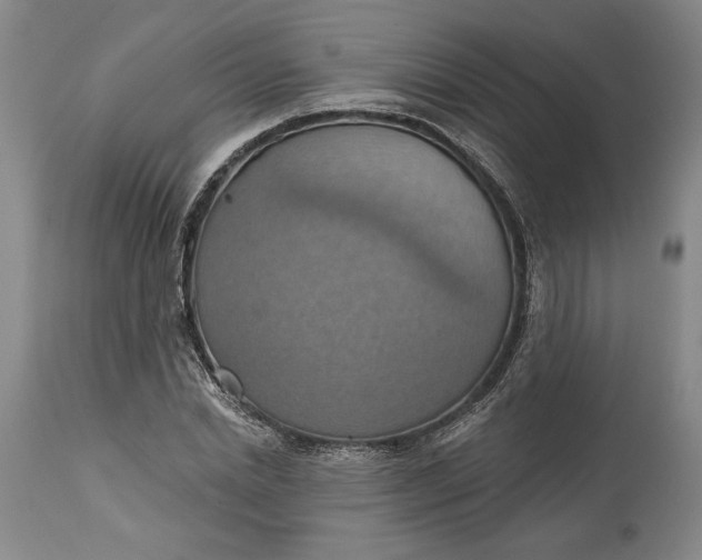 X0000115420830200911171421