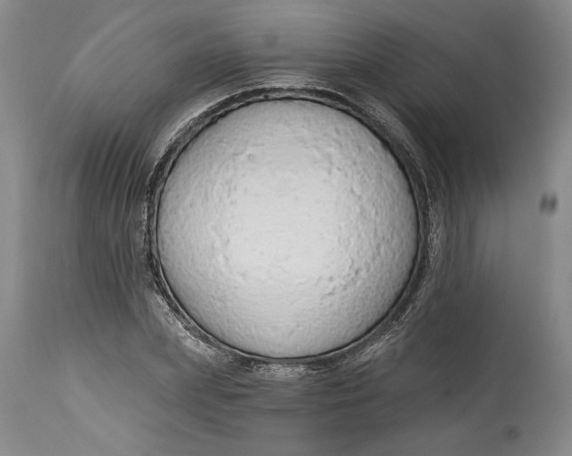 X0000115420831200911171421