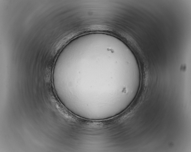 X0000115420833200911171421