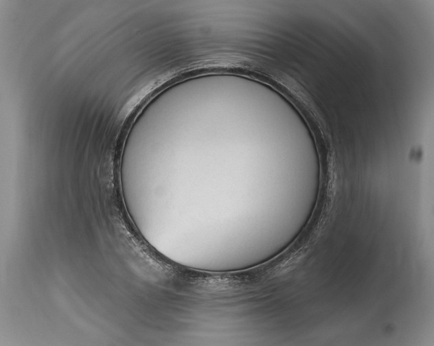 X0000115420834200911171421