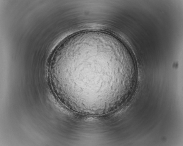 X0000115420835200911171421