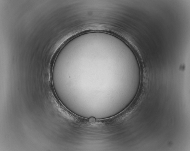 X0000115420837200911171421