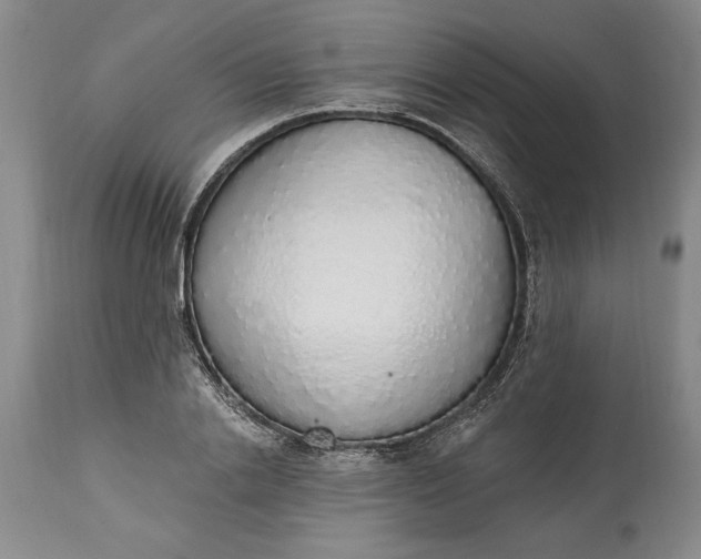 X0000115420838200911171421