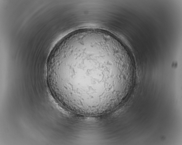 X0000115420839200911171421