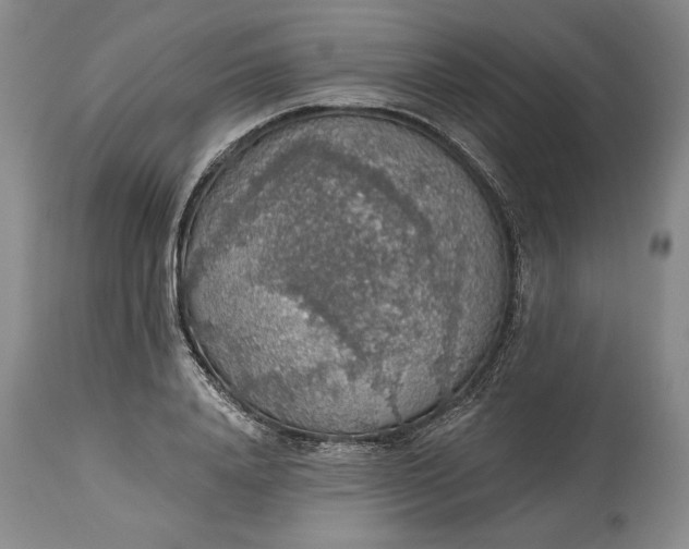 X0000115420840200911171421