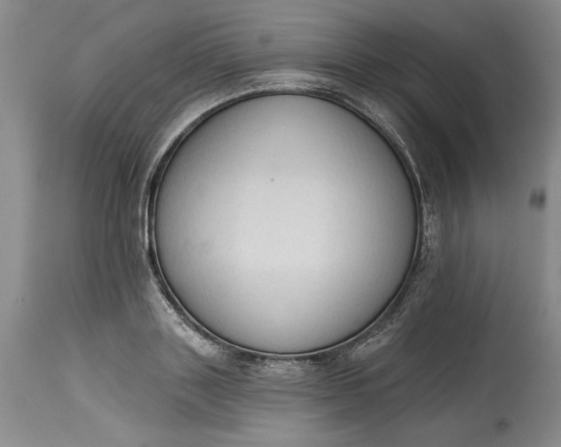 X0000115420843200911171421