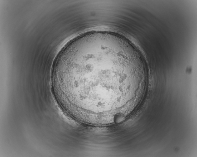 X0000115420845200911171421