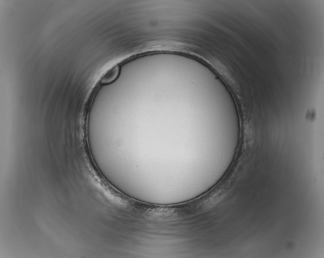 X0000115420846200911171421