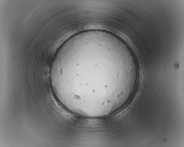 X0000115420849200911171421