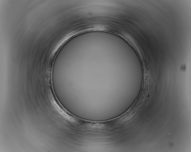 X0000115420851200911171421