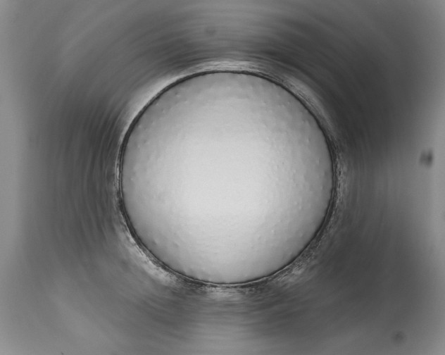 X0000115420852200911171421