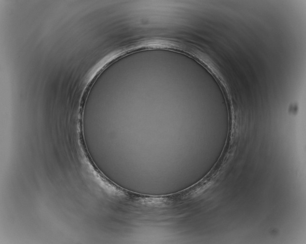 X0000115420853200911171421