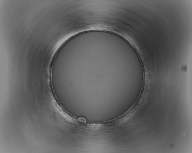 X0000115420854200911171421