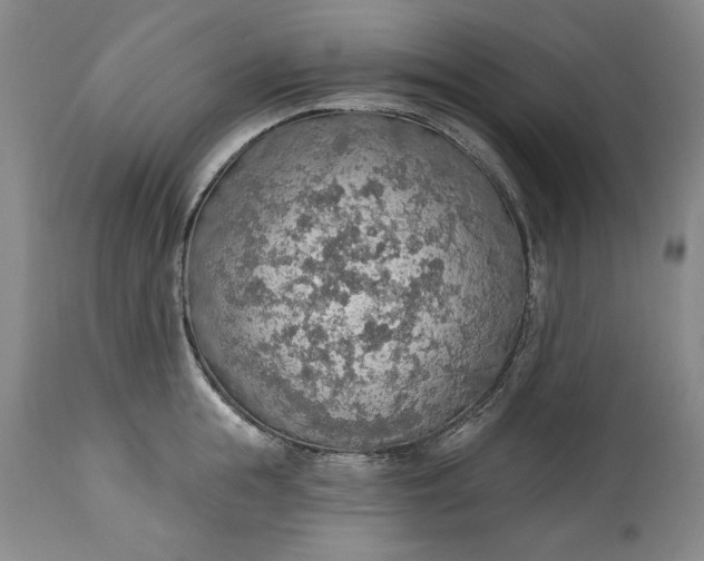 X0000115420855200911171421