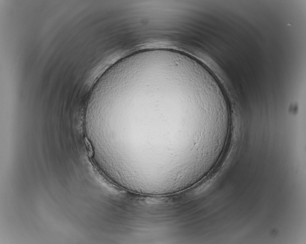 X0000115420857200911171421