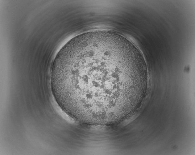 X0000115420859200911171421