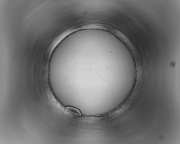 X0000115420860200911171421