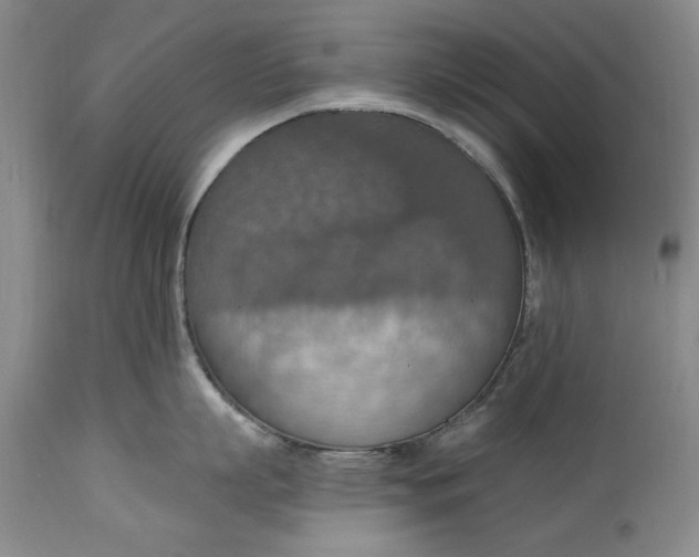 X0000115420863200911171421