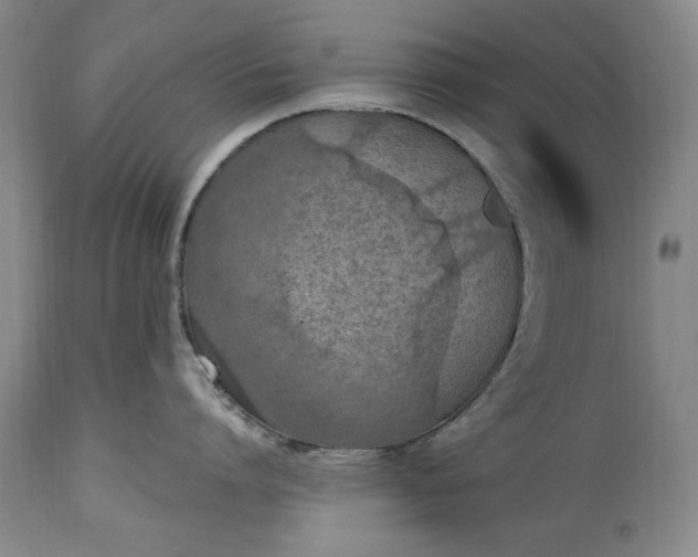 X0000115420864200911171421