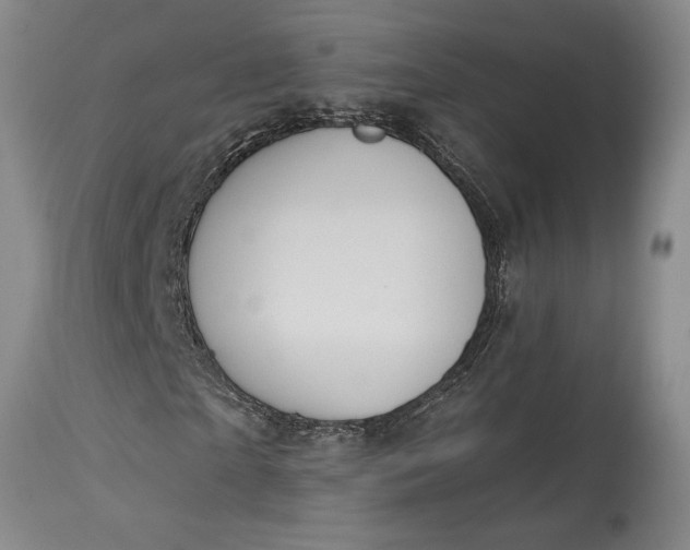 X0000115420865200911171421