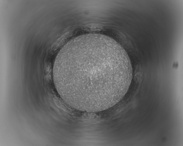 X0000115420866200911171421