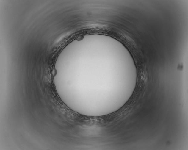 X0000115420869200911171421