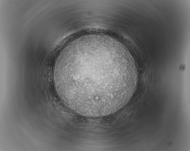 X0000115420870200911171421