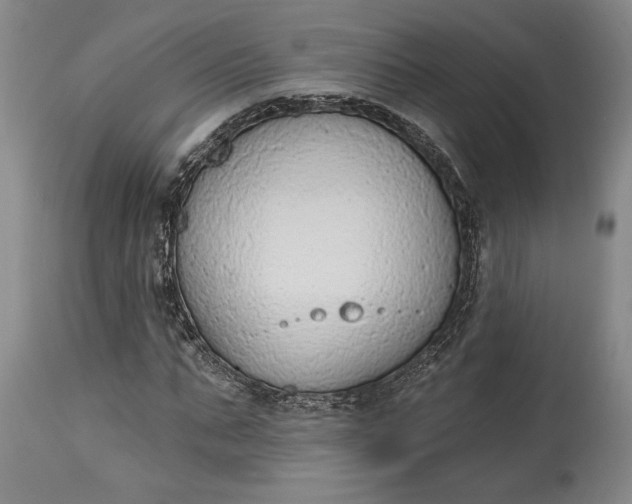 X0000115420871200911171421