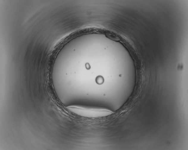 X0000115420872200911171421