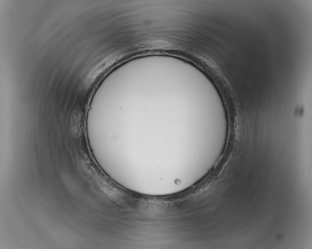 X0000115420873200911171421