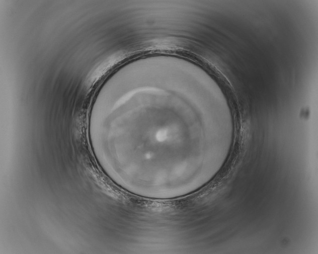 X0000115420874200911171421