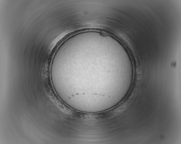 X0000115420875200911171421