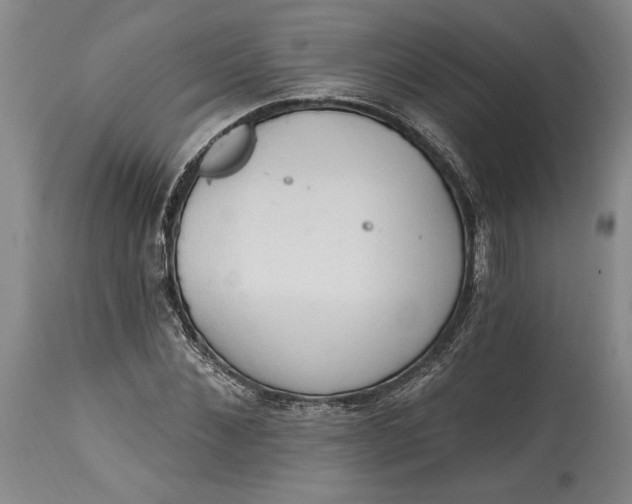 X0000115420876200911171421
