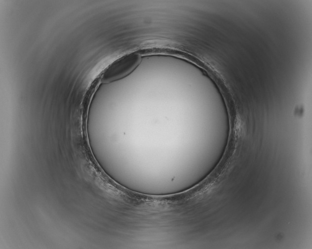 X0000115420877200911171421