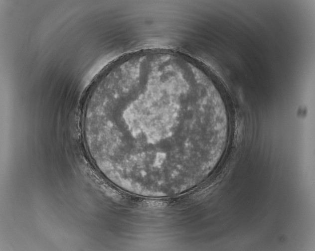 X0000115420878200911171421