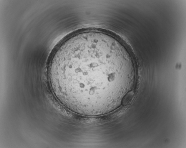 X0000115420879200911171421