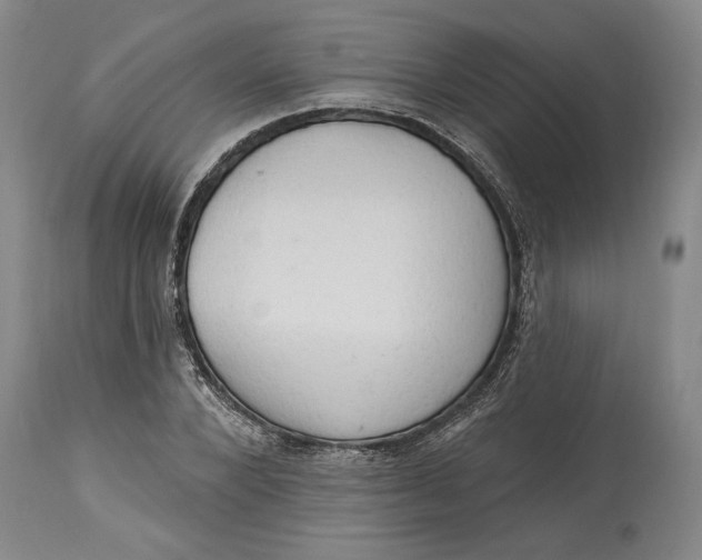 X0000115420880200911171421