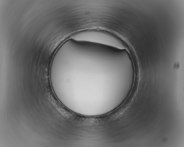 X0000115420881200911171421