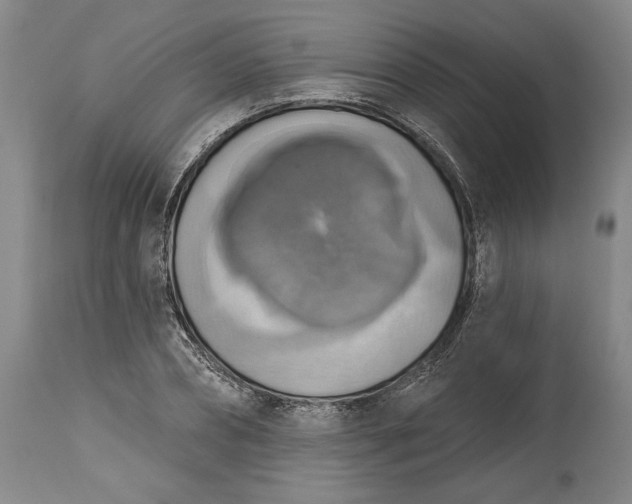 X0000115420882200911171421